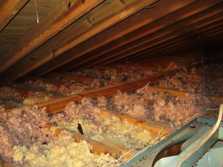 Attic cleaning