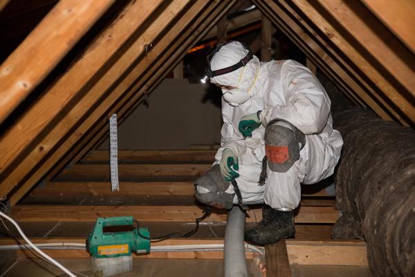 Attic-Cleaning